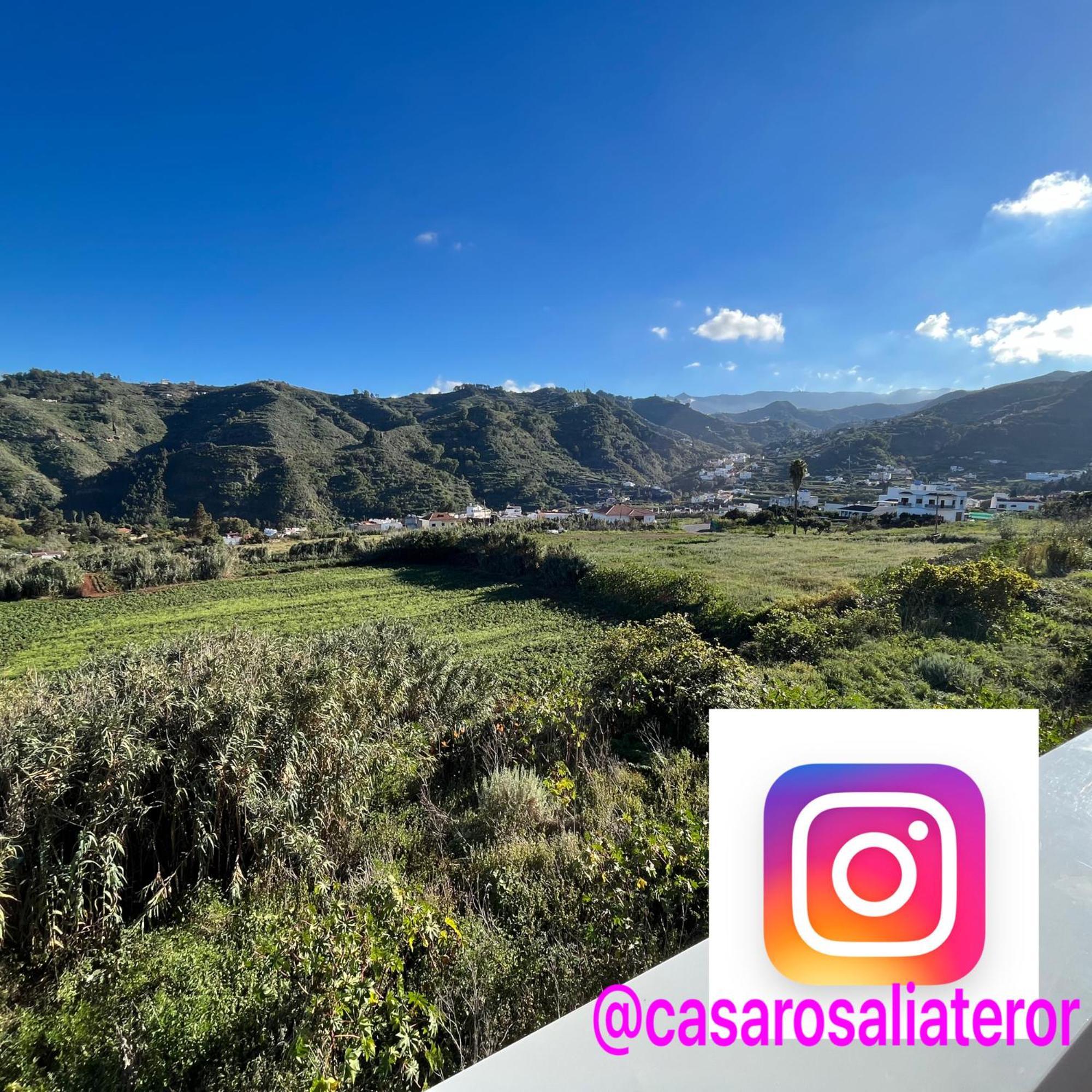 Casa Rosalia. Apartamento Con Vistas A La Montana Teror Dış mekan fotoğraf